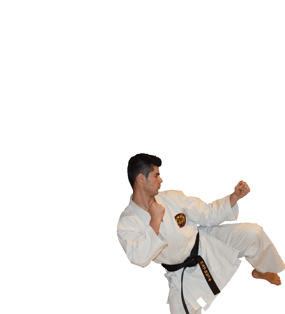 Trainer Stefan Barbulovic Profil 3